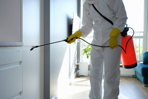 Best Crawl Space Mold Remediation in Washington Park, FL