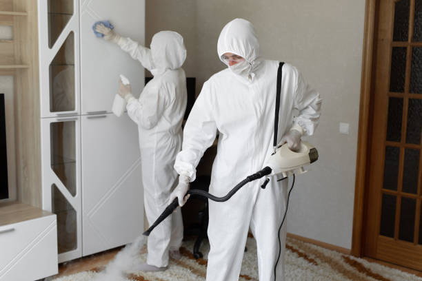 Best Mold Testing and Inspection Services in Washington Park, FL