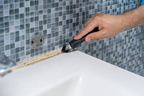 Best Bathroom Mold Remediation in Washington Park, FL