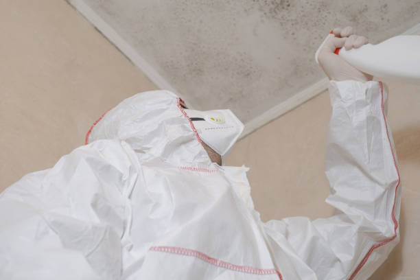 Best DIY Mold Remediation Support Services in Washington Park, FL
