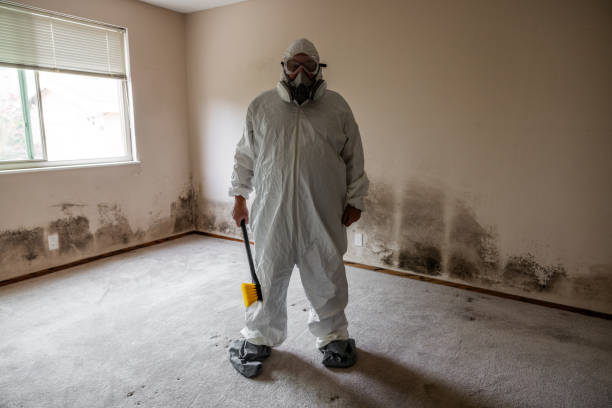Best Attic Mold Remediation in Washington Park, FL